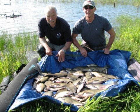 Angling Reports - 28 June 2018